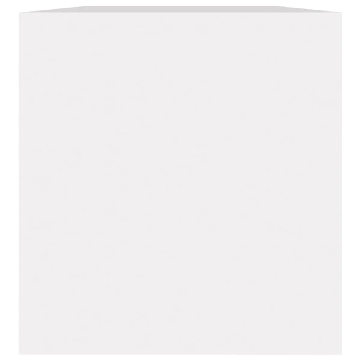 vidaxl Boîte de rangement vinyles - Blanc