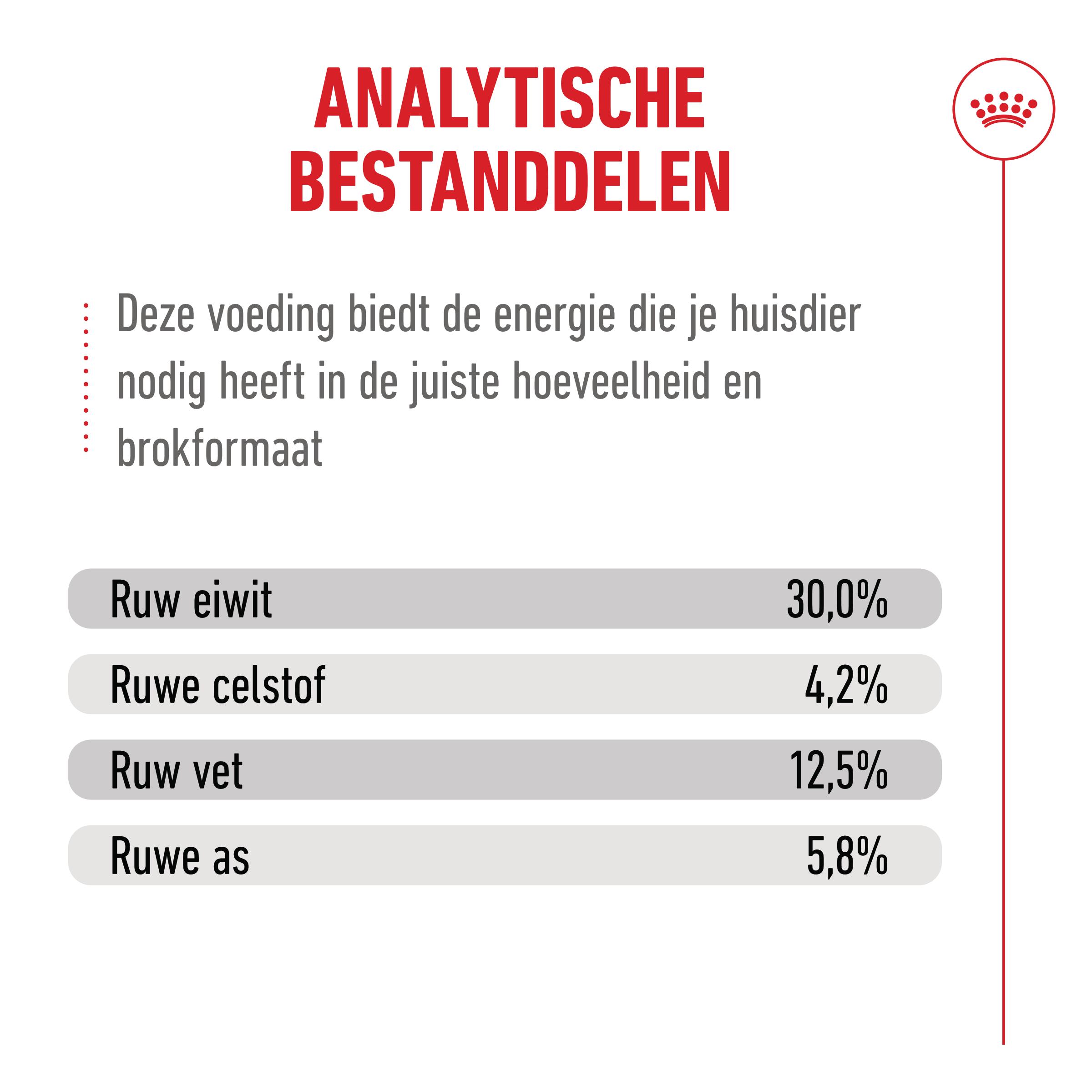 Royal Canin Ageing Sterilised 11+ - Kattenvoer