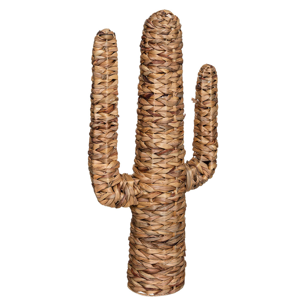 Grand cactus déco matière végétale H 75cm