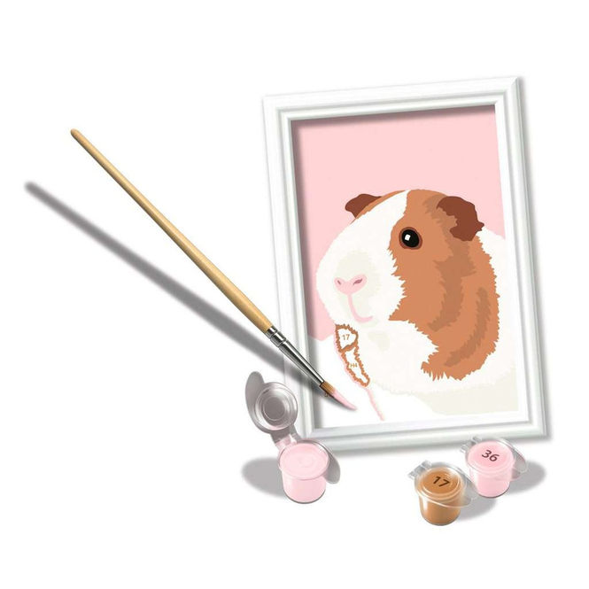 Malen nach Zahlen - Niedliches Meerschweinchen