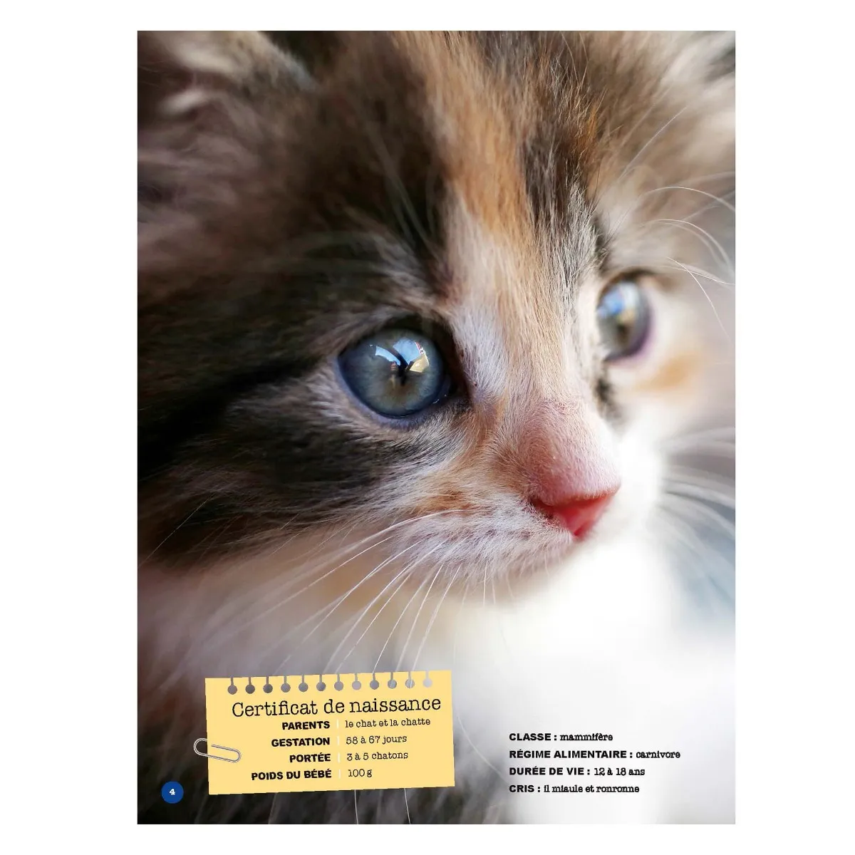 Prologue Mon Grand Animalier des Bébés Animaux