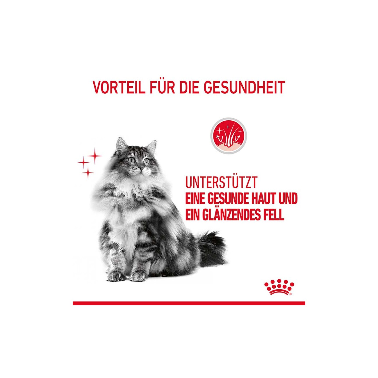 ROYAL CANIN Hair & Skin in Soße 12x85 g