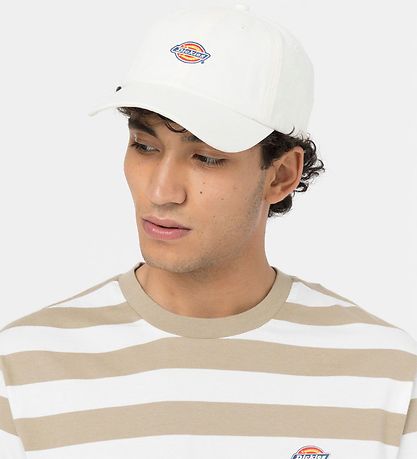 Dickies Kappe - Hardwick - Cloud