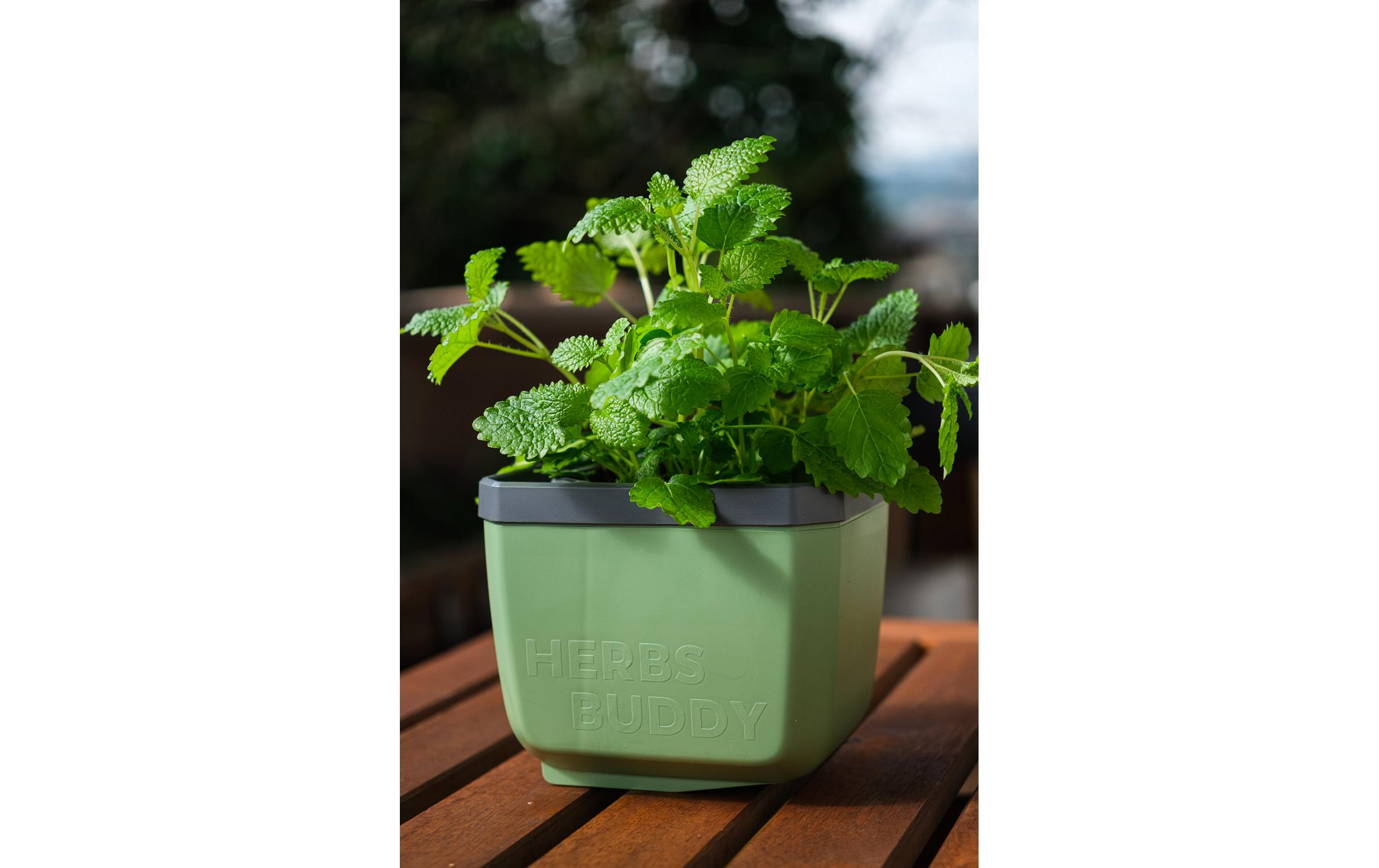 HERBS BUDDY Kräutertopf DunkelgrünKräutertopf mit Wasserreservoir und Kippfunktion