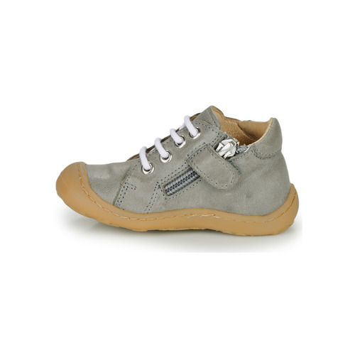 GBB - FREDDO - Gris