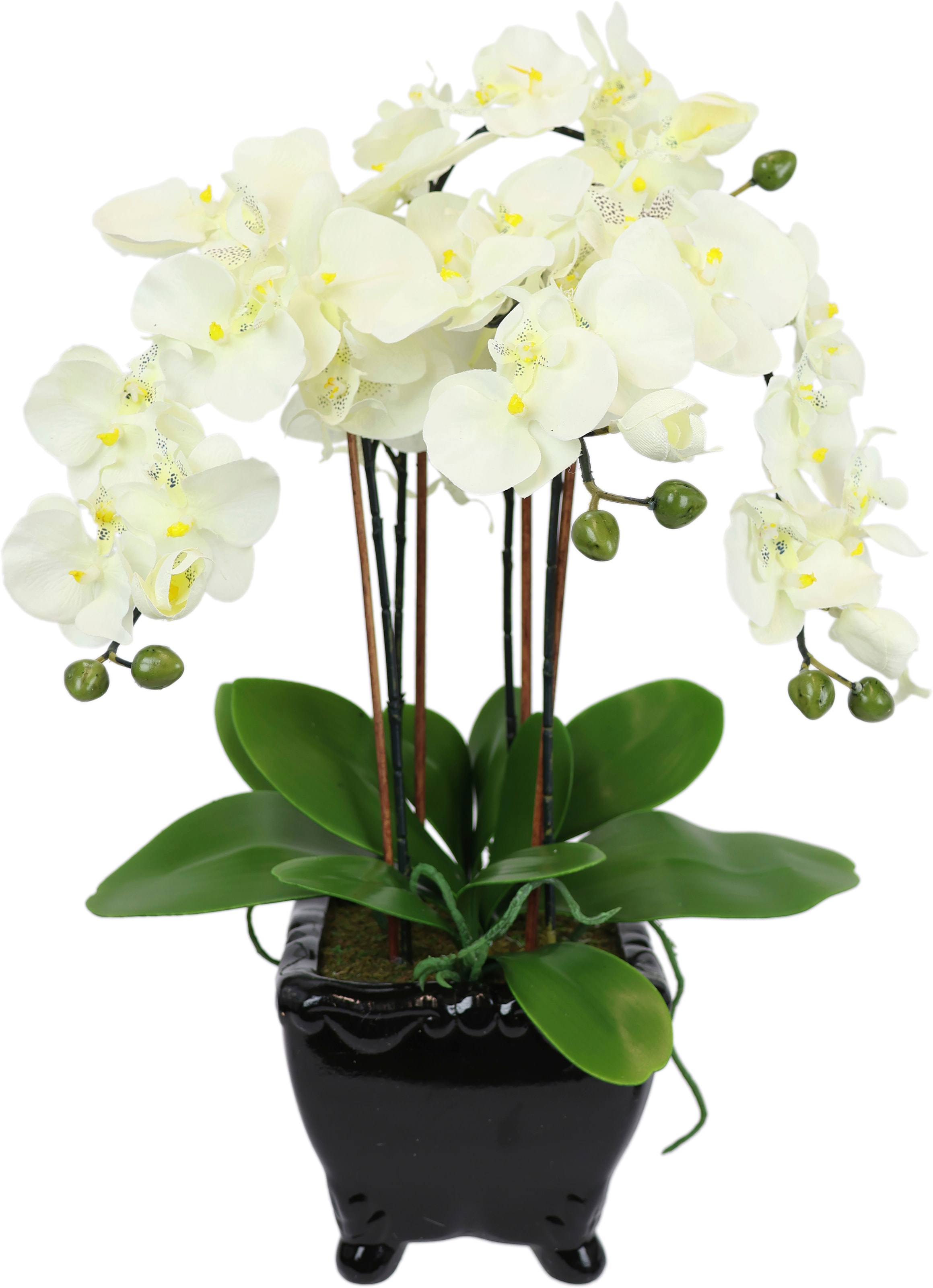 I.GE.A. Kunstblume »Künstliche Orchidee in Schale Phalaenopsis Kunstblume Blume« Kunstorchidee Deko Dekoblume Seidenblume