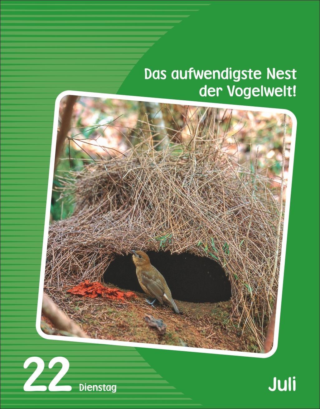 Wissen Kids Tagesabreißkalender 2025