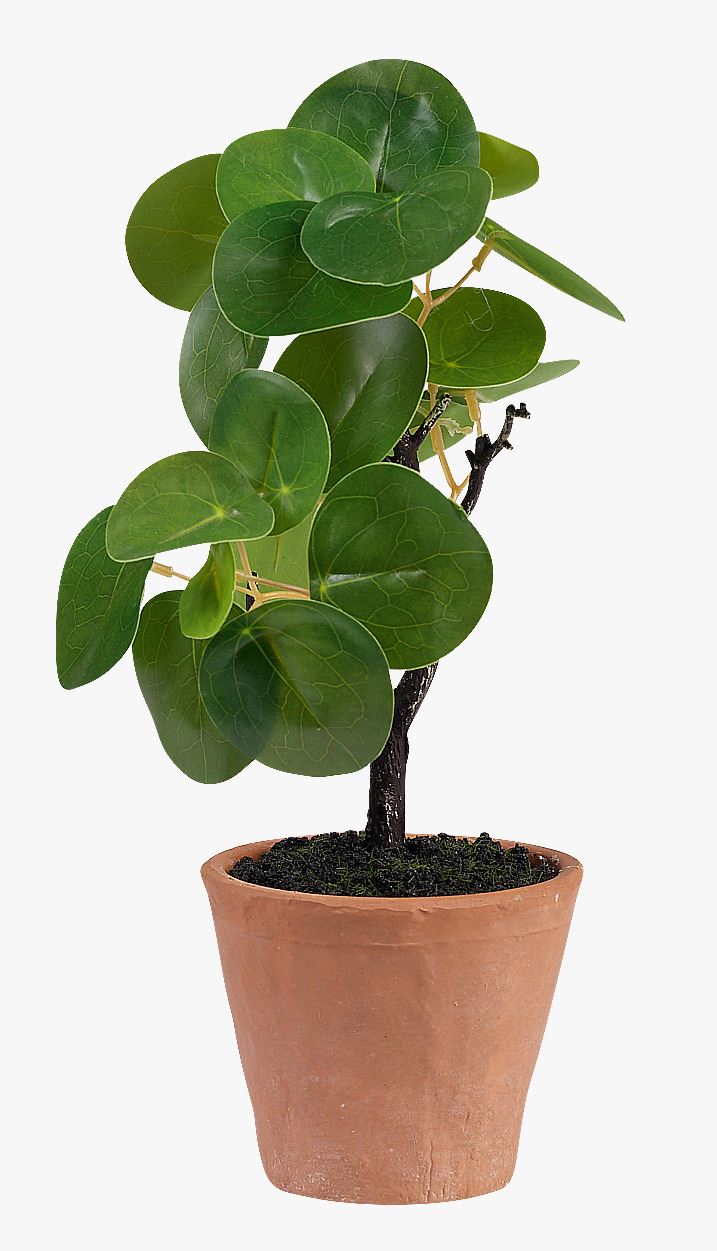 Plante grønn - 10x10x25 cm