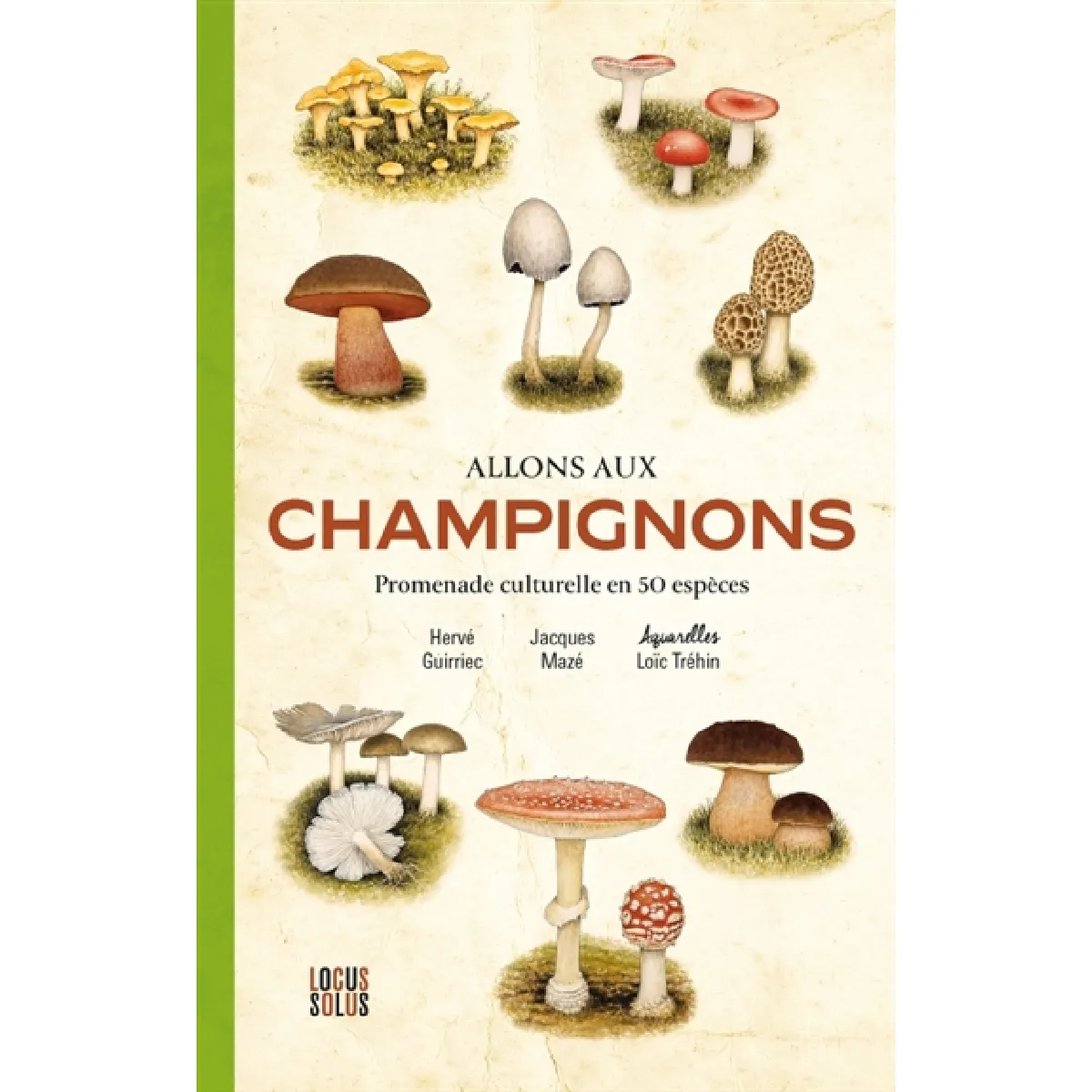Allons aux champignons : promenade culturelle en 50 espèces · Occasion