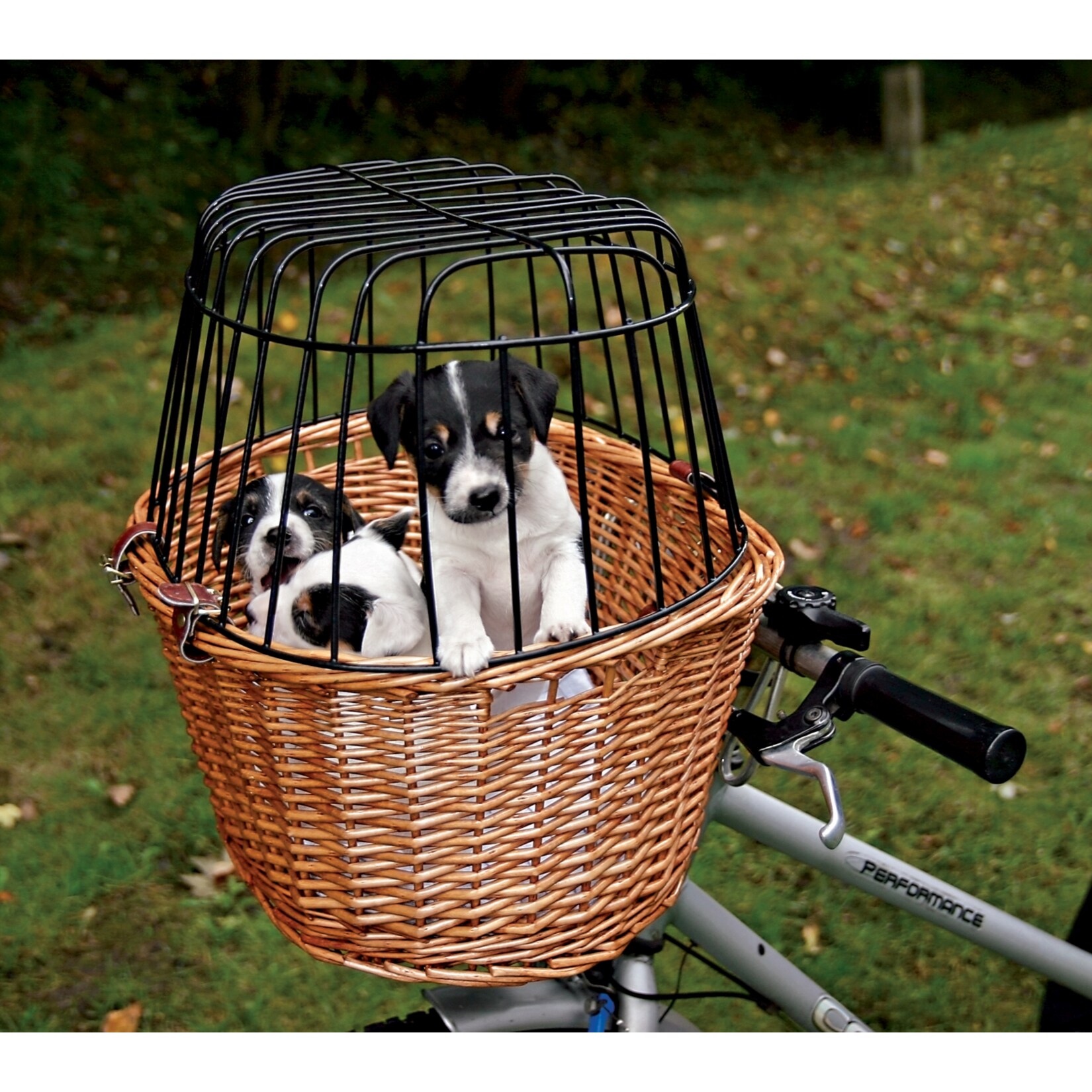 Heim Fahrradkorb für Hunde