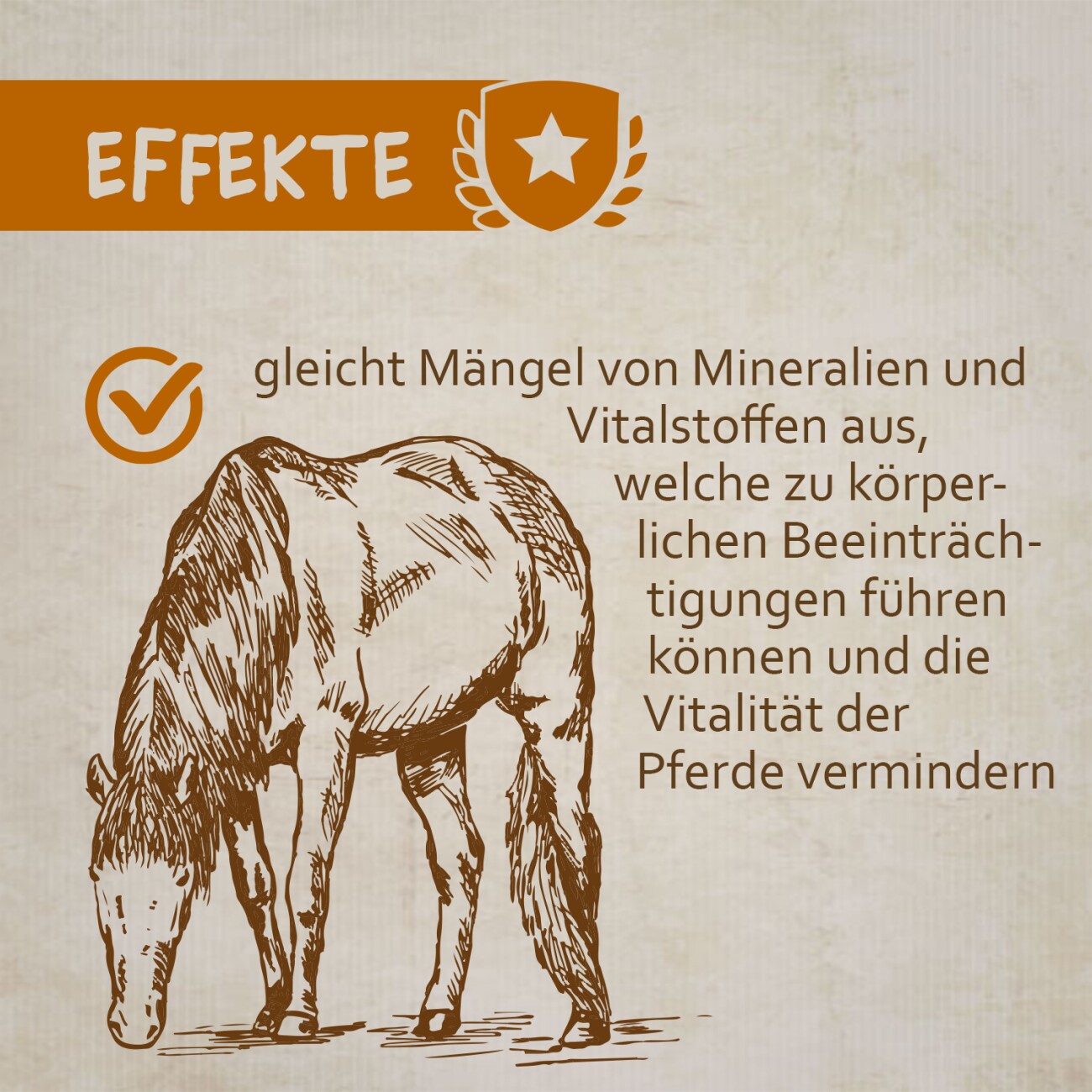 Montanus ® nature Leckmasse 10 kg