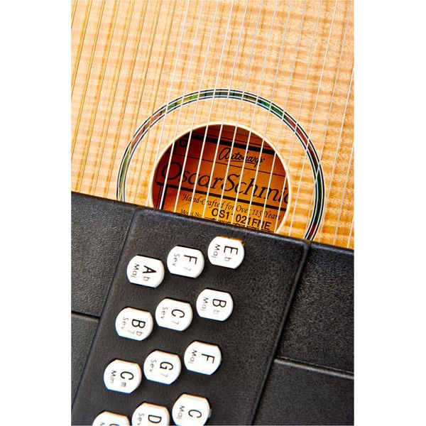 Oscar Schmidt OS110 21FNE Autoharp
