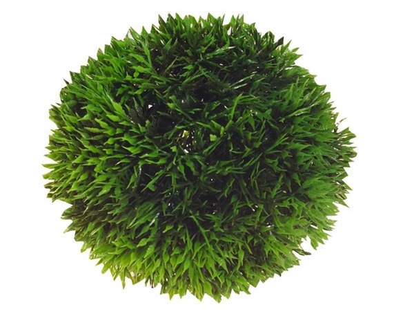 Hobby Aqua Plant Bal 9cm