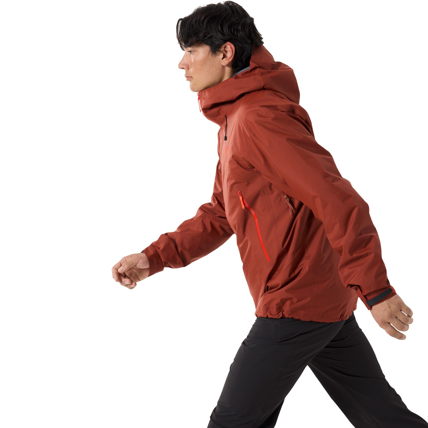 Arc'teryx Beta SL GORE-TEX® Hardshelljacke Herren sequoia