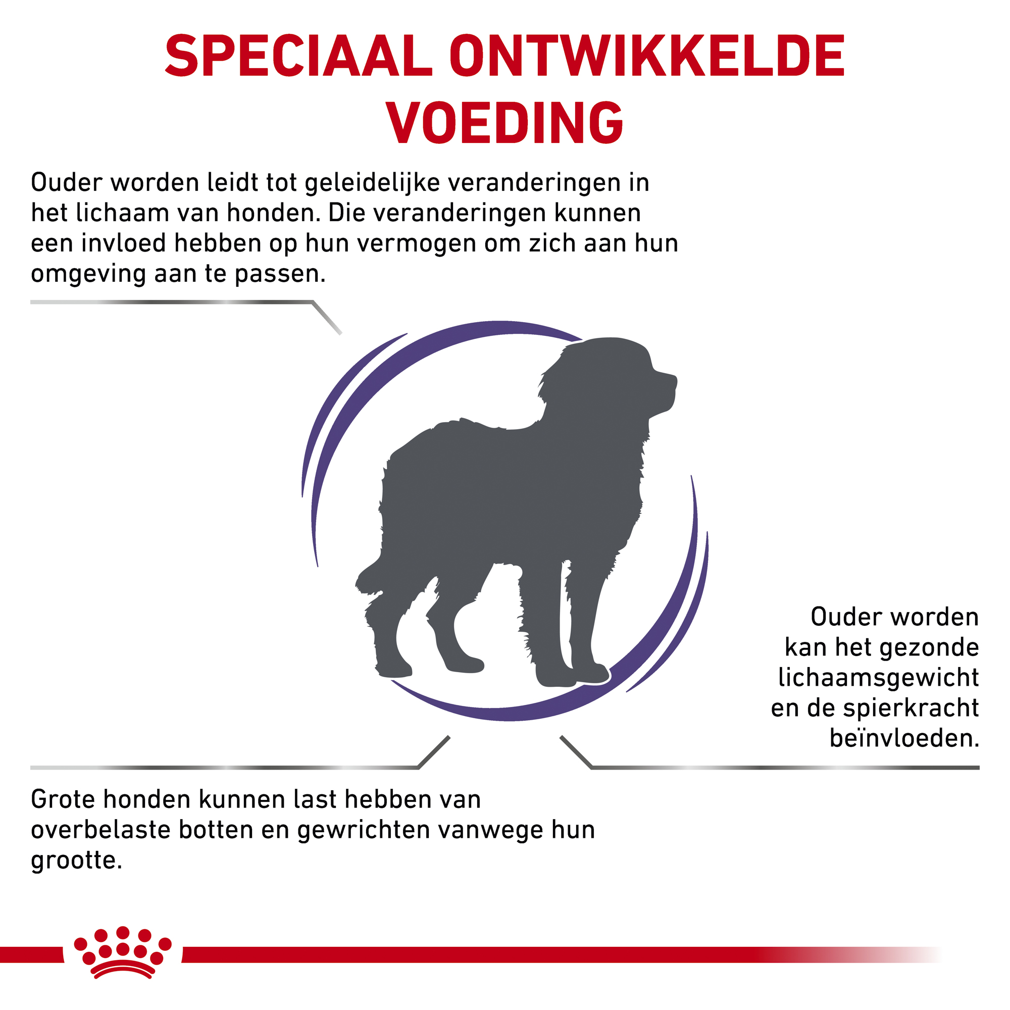 Royal Canin VCN - Senior Consult Mature Large Dog