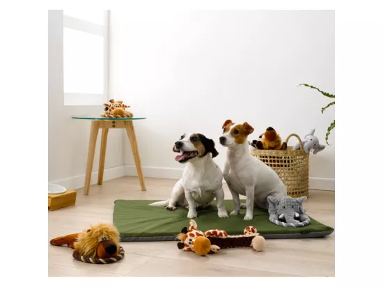 Jouet peluche Tigre sonore pour chien 