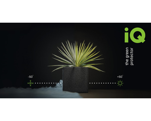 iQ the green protector plantenbak, rechthoekig, 76 x 38 x 38 cm, kunststof, zwart