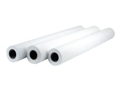 HP Professional Matte Canvas - Mat - 22 millioner - Rulle (106,7cm x 15,2 m) - 390 g/m² - 1 rulle(r) papir på lærred - for DesignJet 5000, 5500, Z2100, Z3100, Z3200, Z5200, Z5400, Z6100, Z6200, Z6600, Z6800