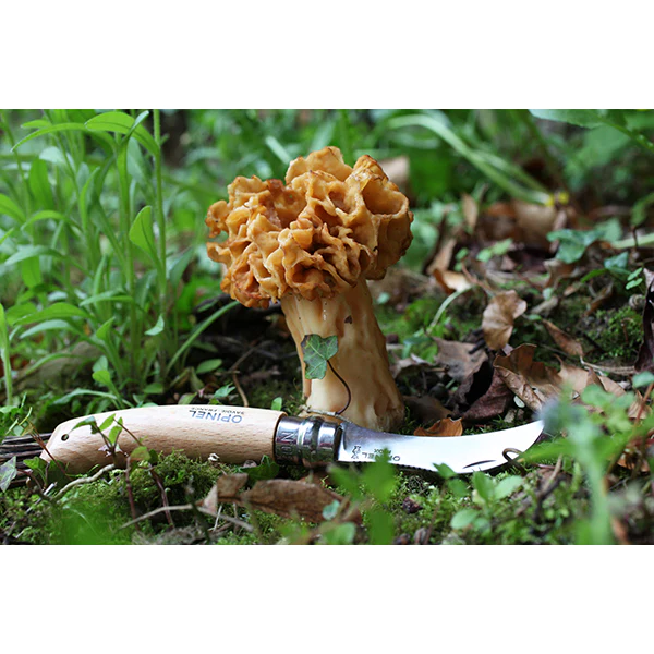 Couteau à champignons pliant N°8 lame inox 8 cm Opinel