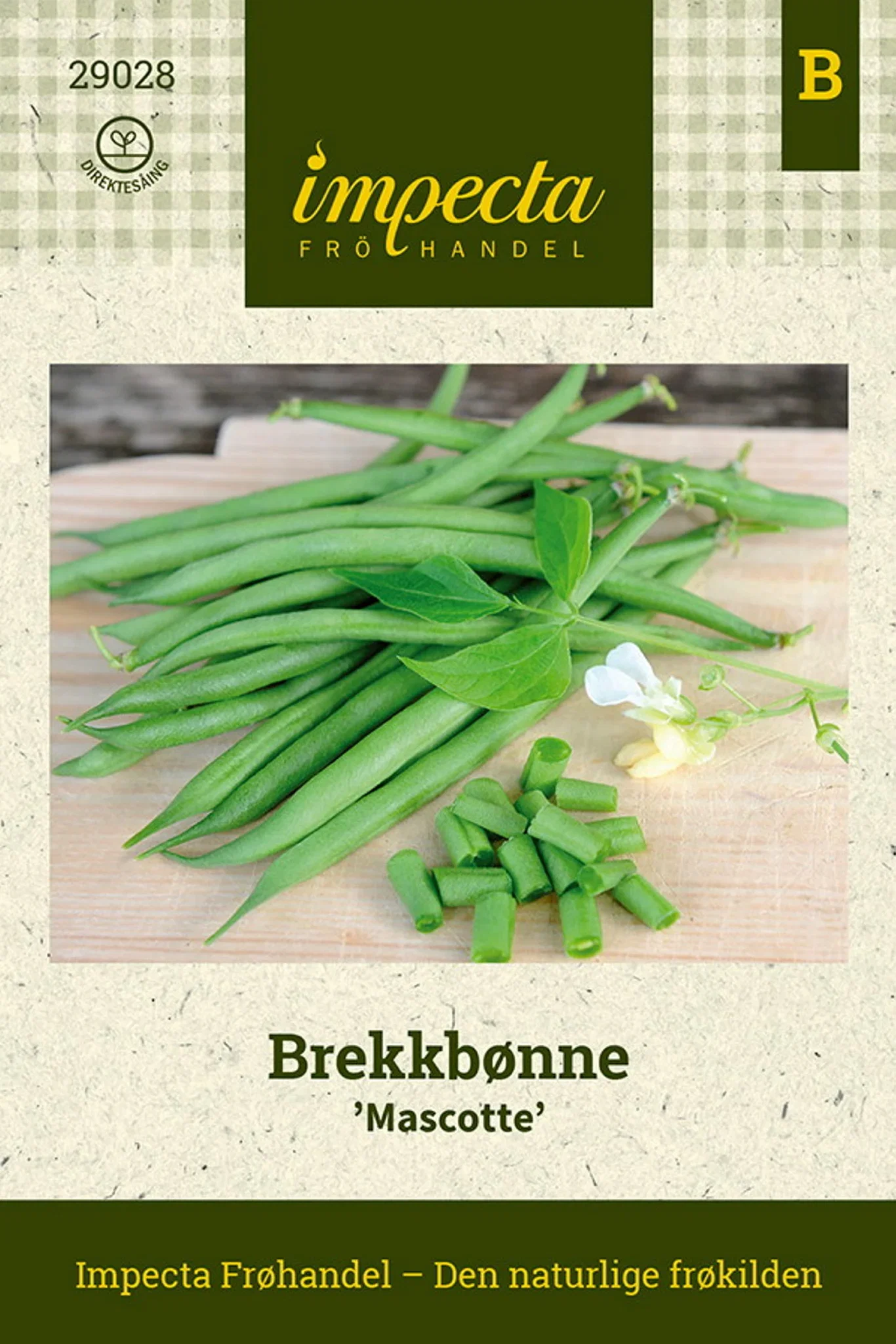 Phaseolus vulgaris 'Mascotte' Brekkbønne 'Mascotte'
