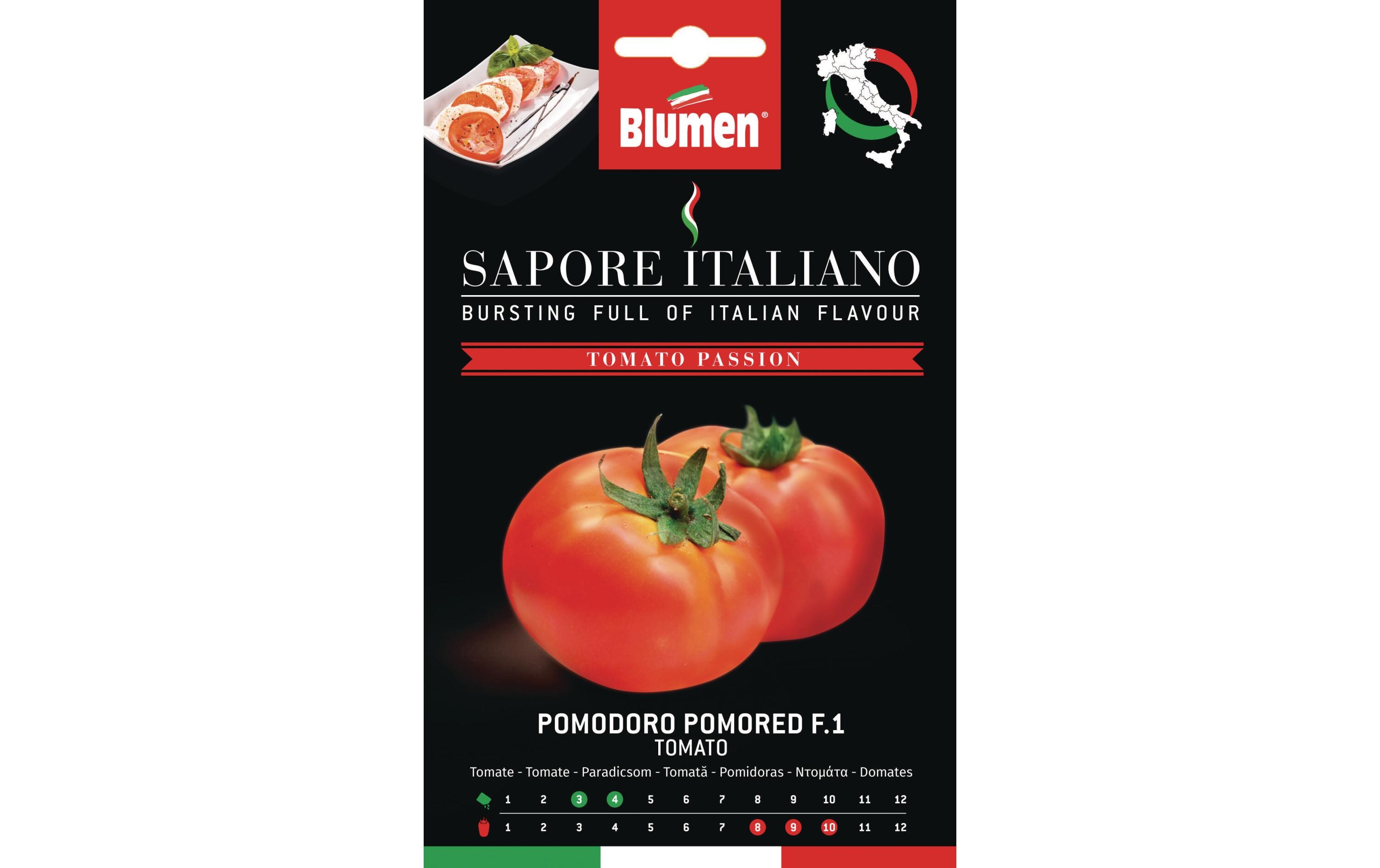 Samen Tomate Pomored F.1Gemüsesamen