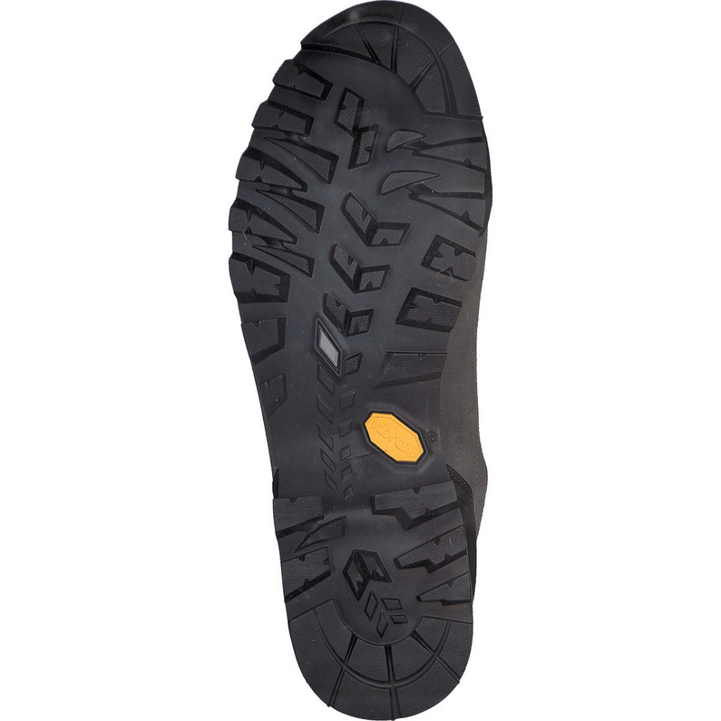 Scarpa Zodiac GTX Schuhe