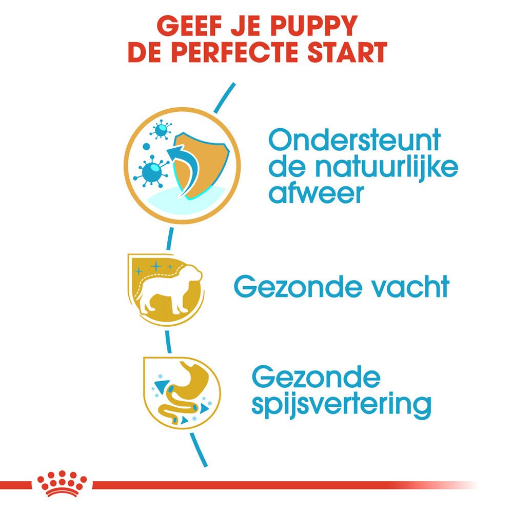 Royal Canin Poodle Puppy - Hondenvoer