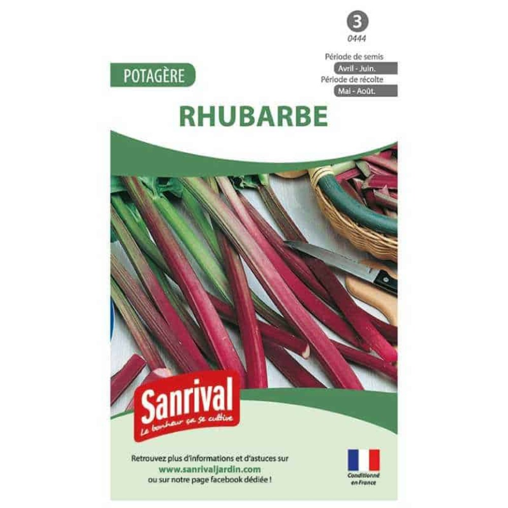 Graines de rhubarbe