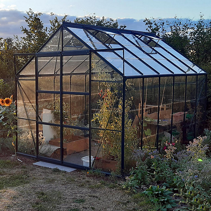 Serre en verre Lams Laurus vert 9,70m²