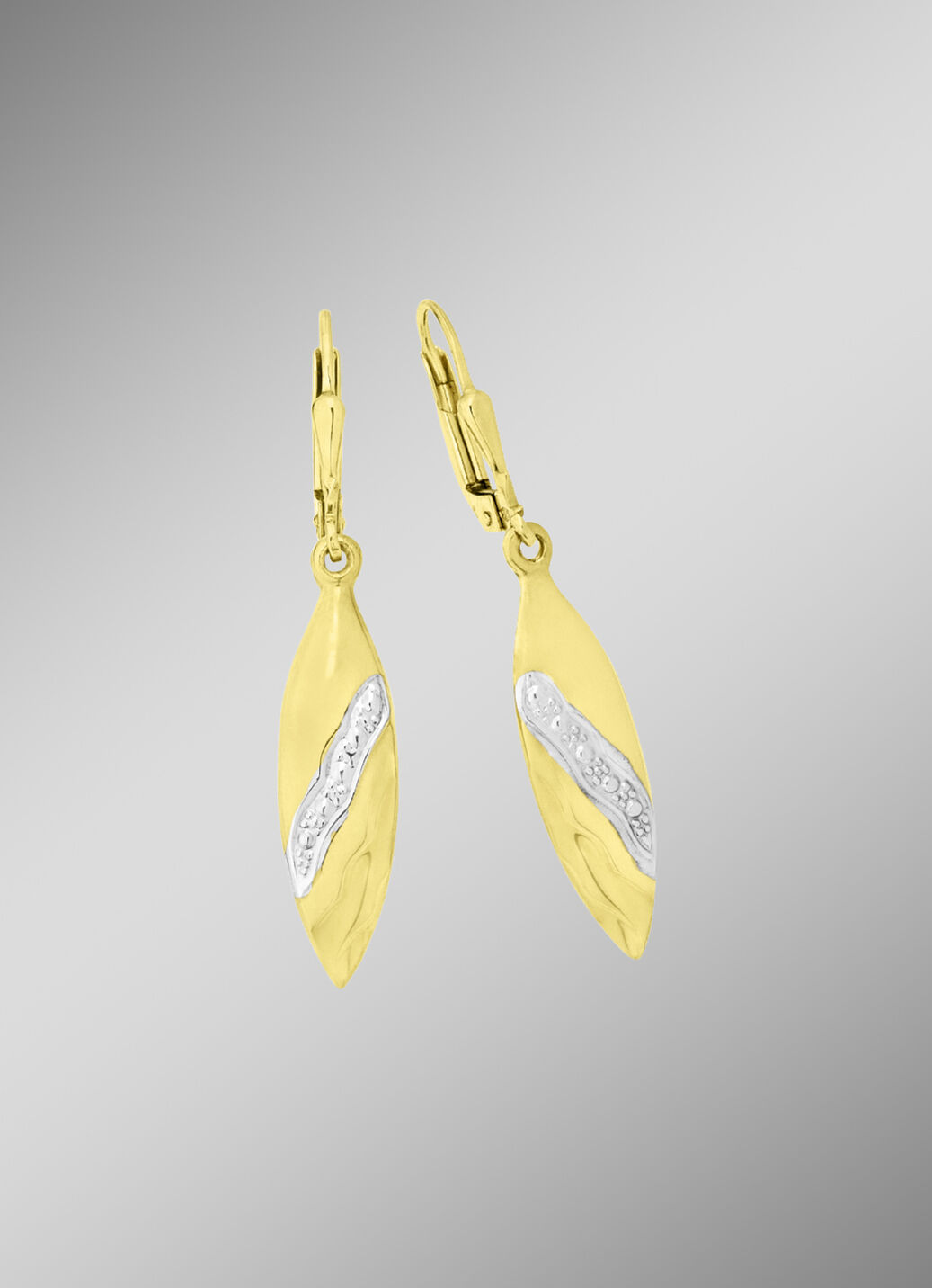 Tolle Ohrringe in Bicolor