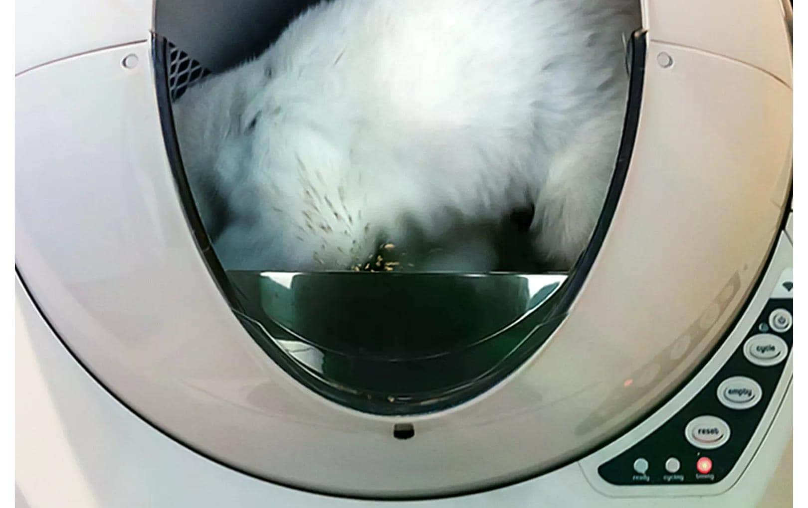 Katzentoilette »Litter-Robot zu Litter Robot 3 Connect«