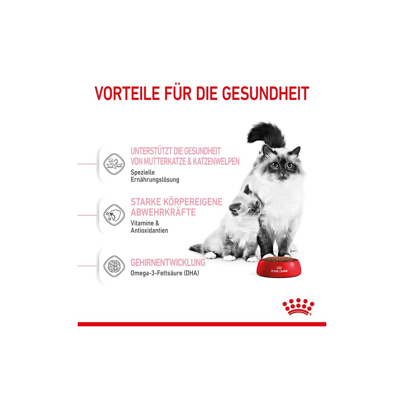 ROYAL CANIN Mother & Babycat 400 g