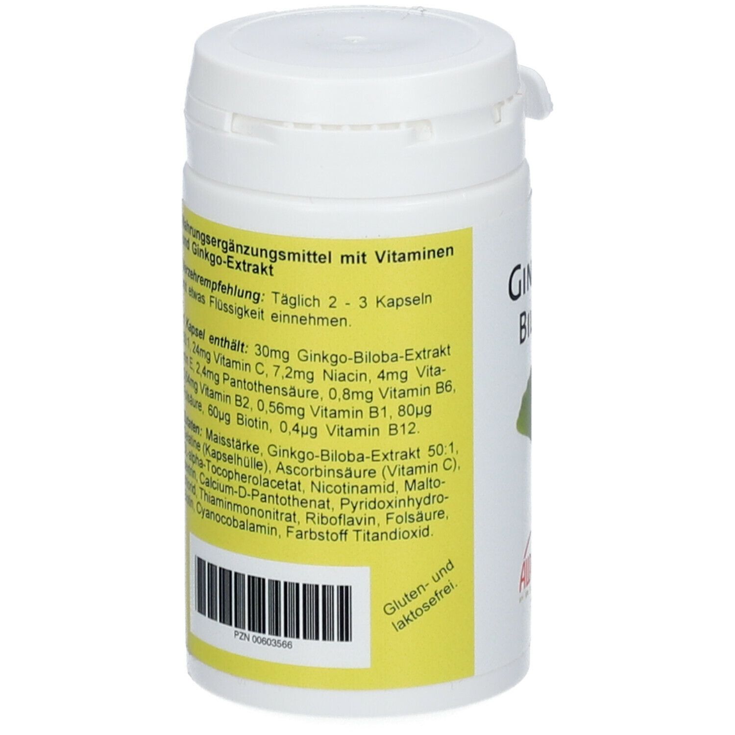 Ginkgo-Biloba Kapseln
