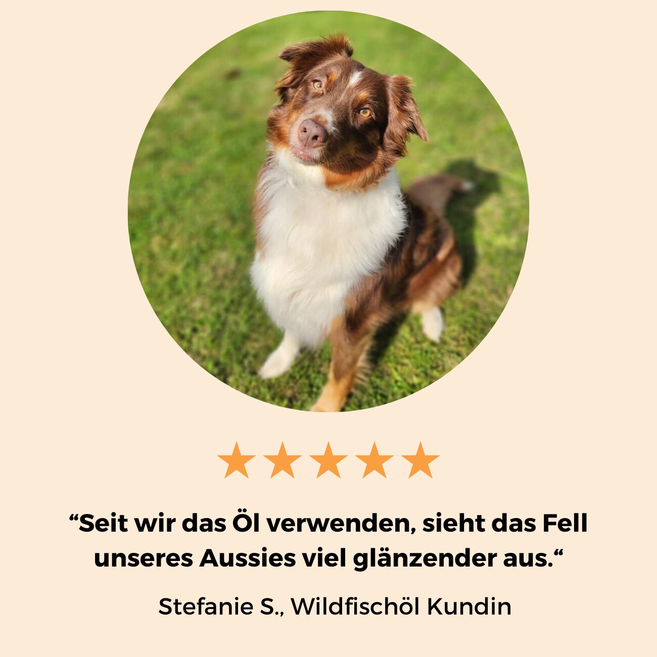 Dog-Native Wildfischöl für Hunde, natürliches Omega-3 Öl in Glasflasche mit EPA & DHA, Fischöl kein Lachsöl, Futteröl für Fell, Haut & Gelenke, Barf Zusatz mit Vitamin E, 500ml