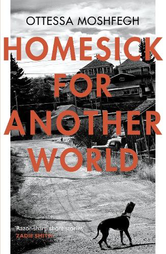 Homesick For Another World (Paperback)