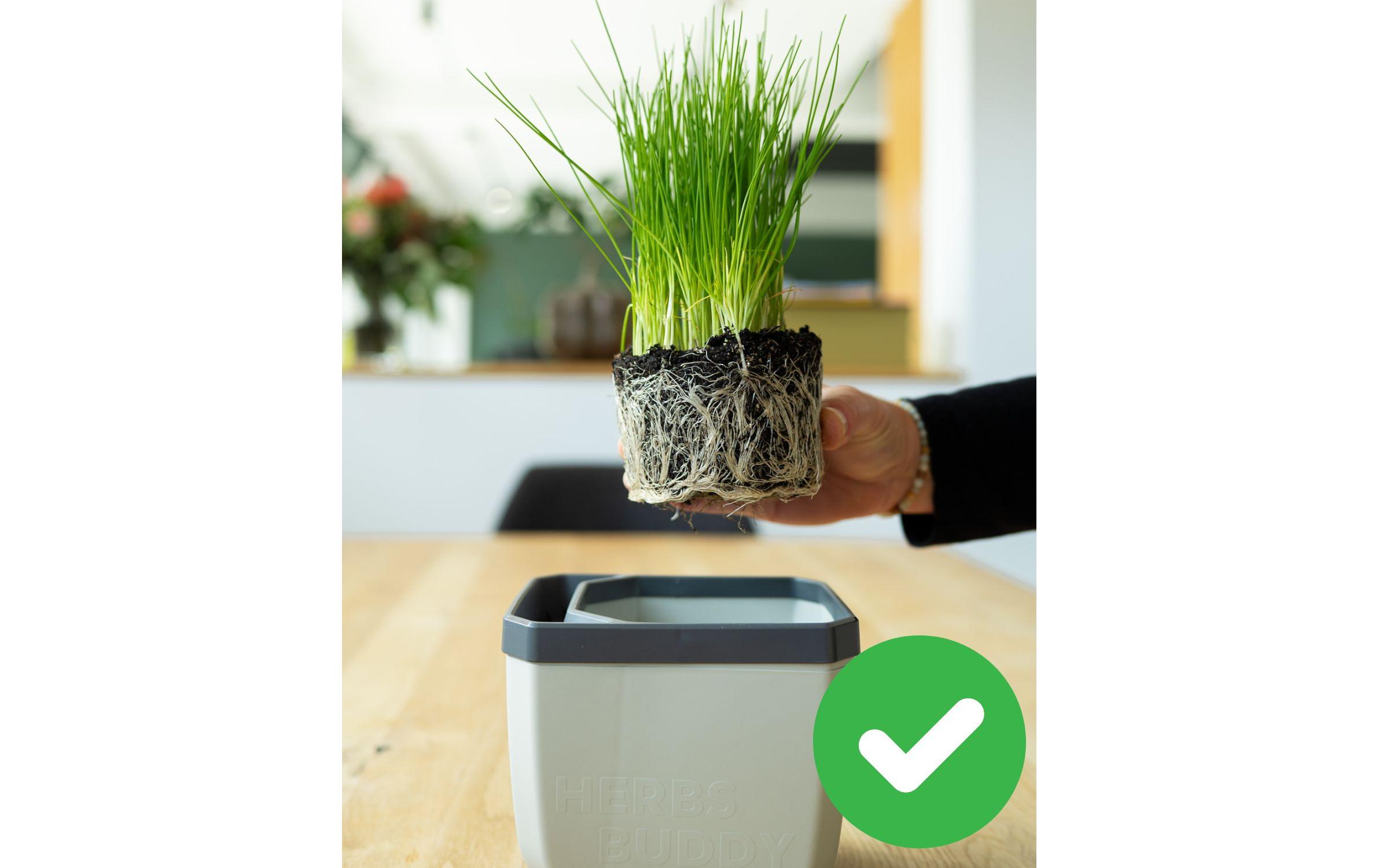 HERBS BUDDY Kräutertopf Grau/HellgrauKräutertopf mit Wasserreservoir und Kippfunktion