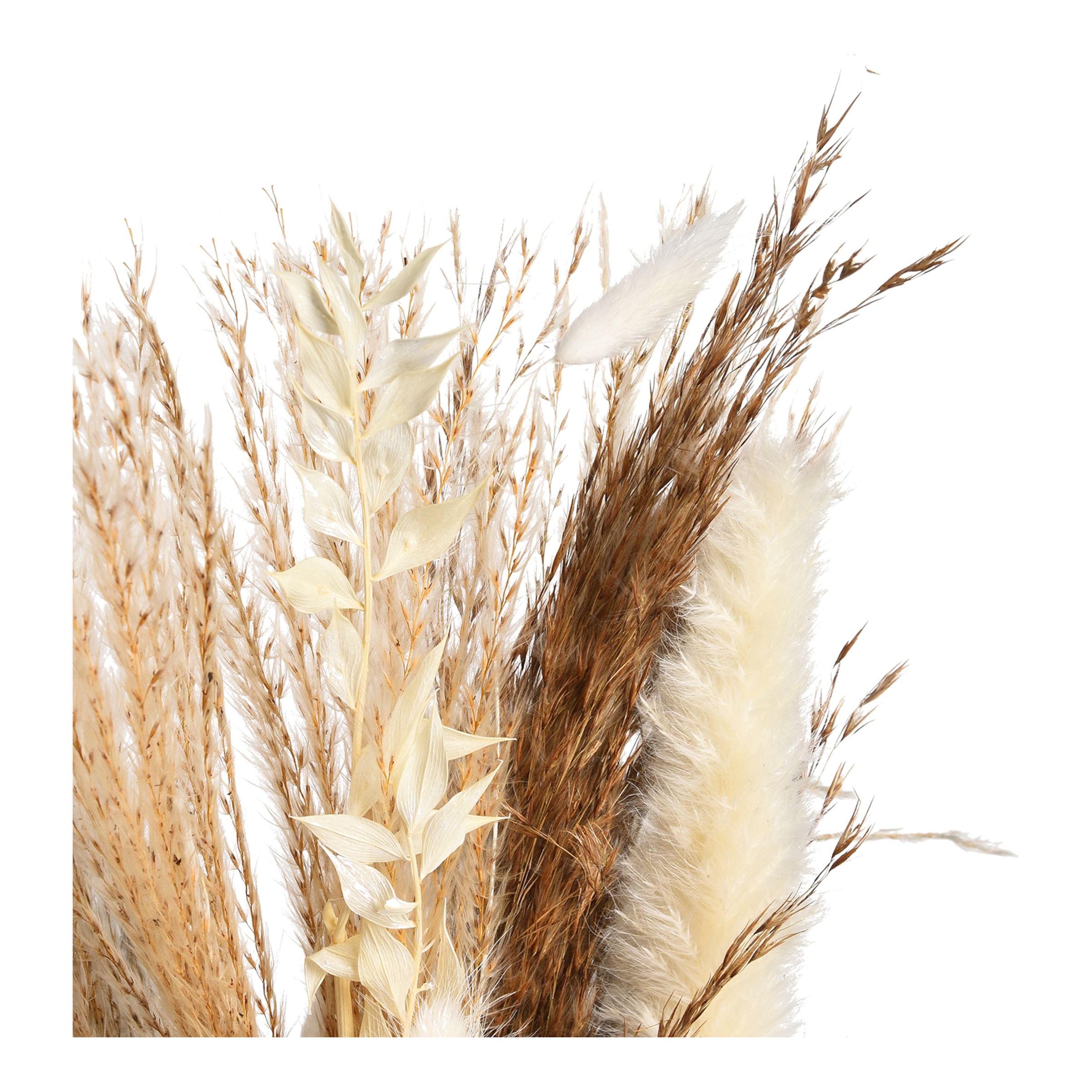 natur, L 45 cm