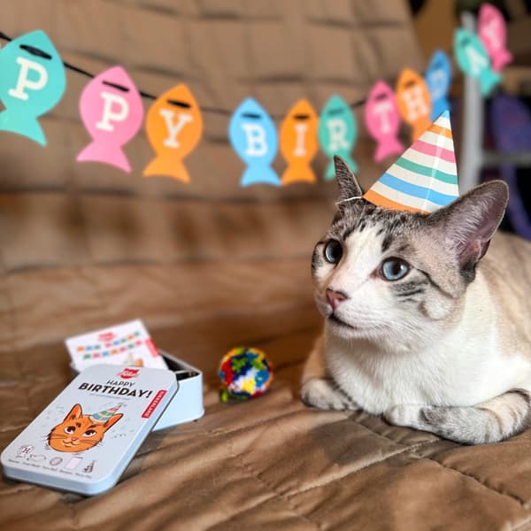 Happy Birthday Cat Tin Kikkerland