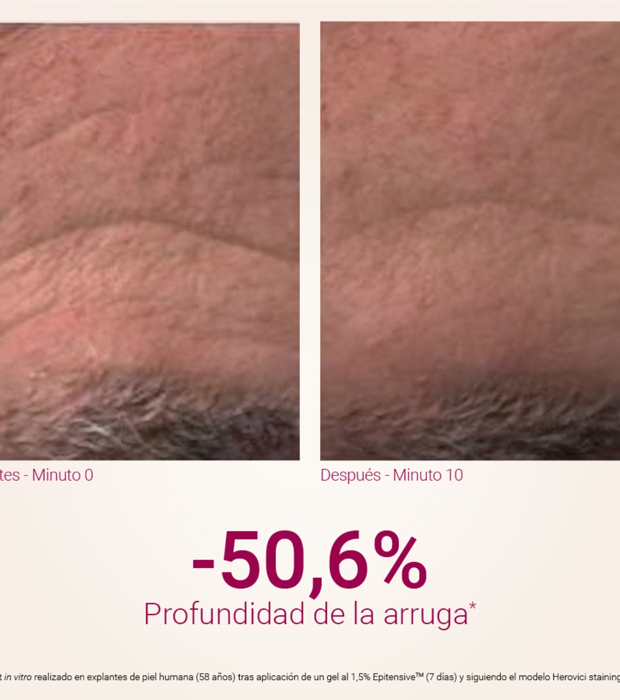 Primaderm - Sérum antienvelhecimento com colágeno Xpert Collageneur