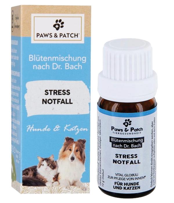 PAWS & PATCH Blütenmischung 3er Basis-Box