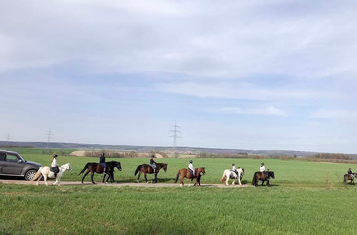 Geführter Ausritt Langenfeld