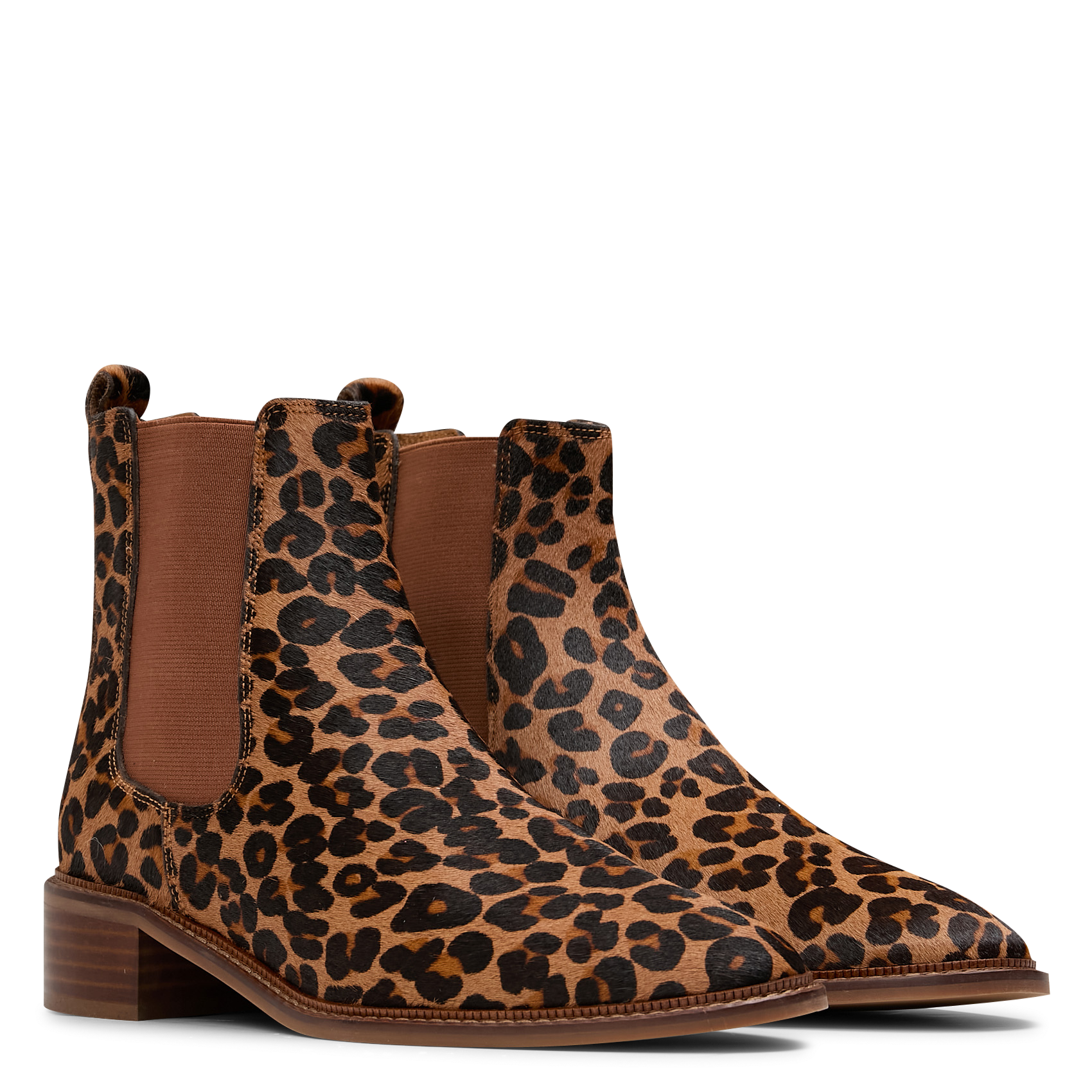 SELIANA - Bottines léopard en cuir | Multicolore