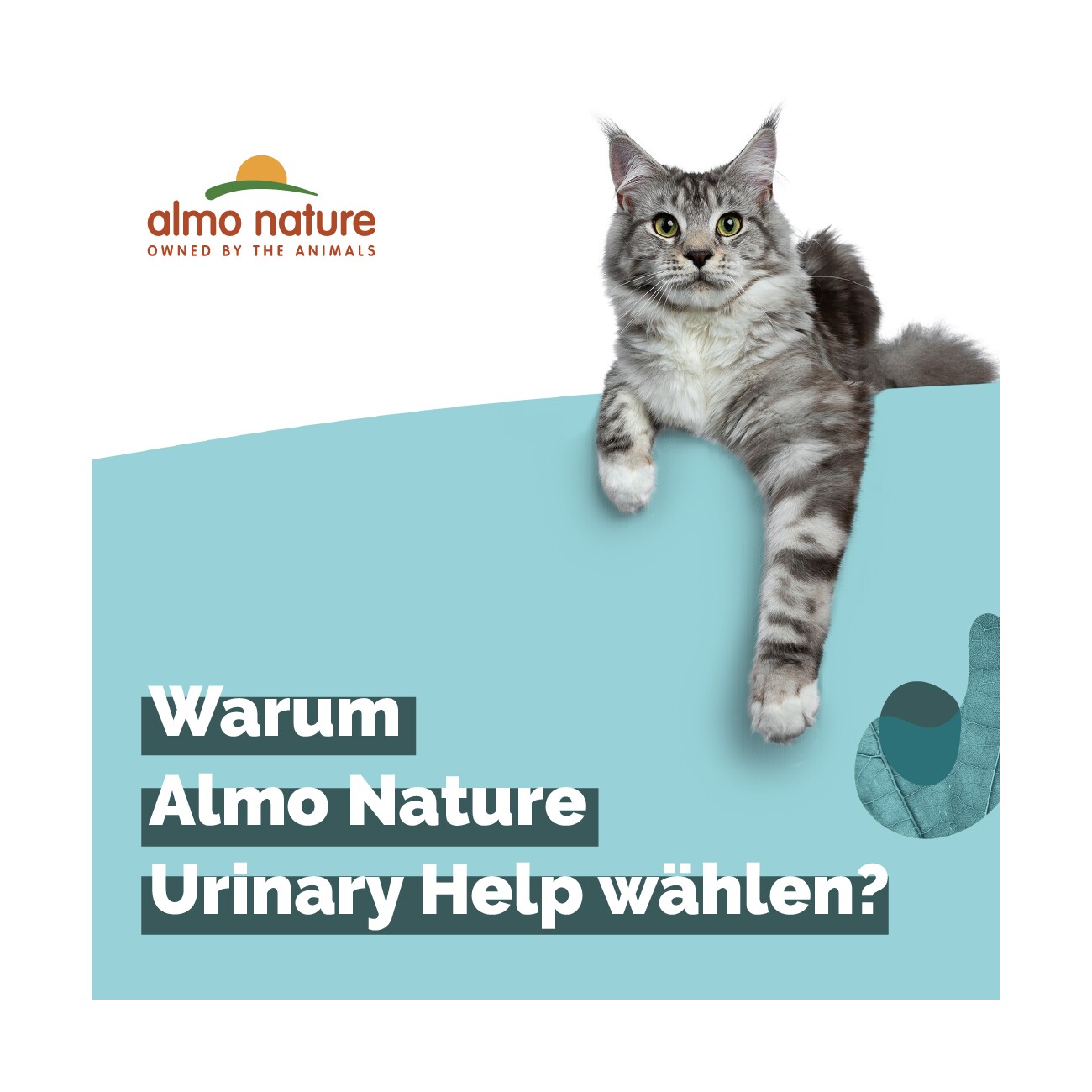 Almo nature Urinary Help 30x70 g Fisch