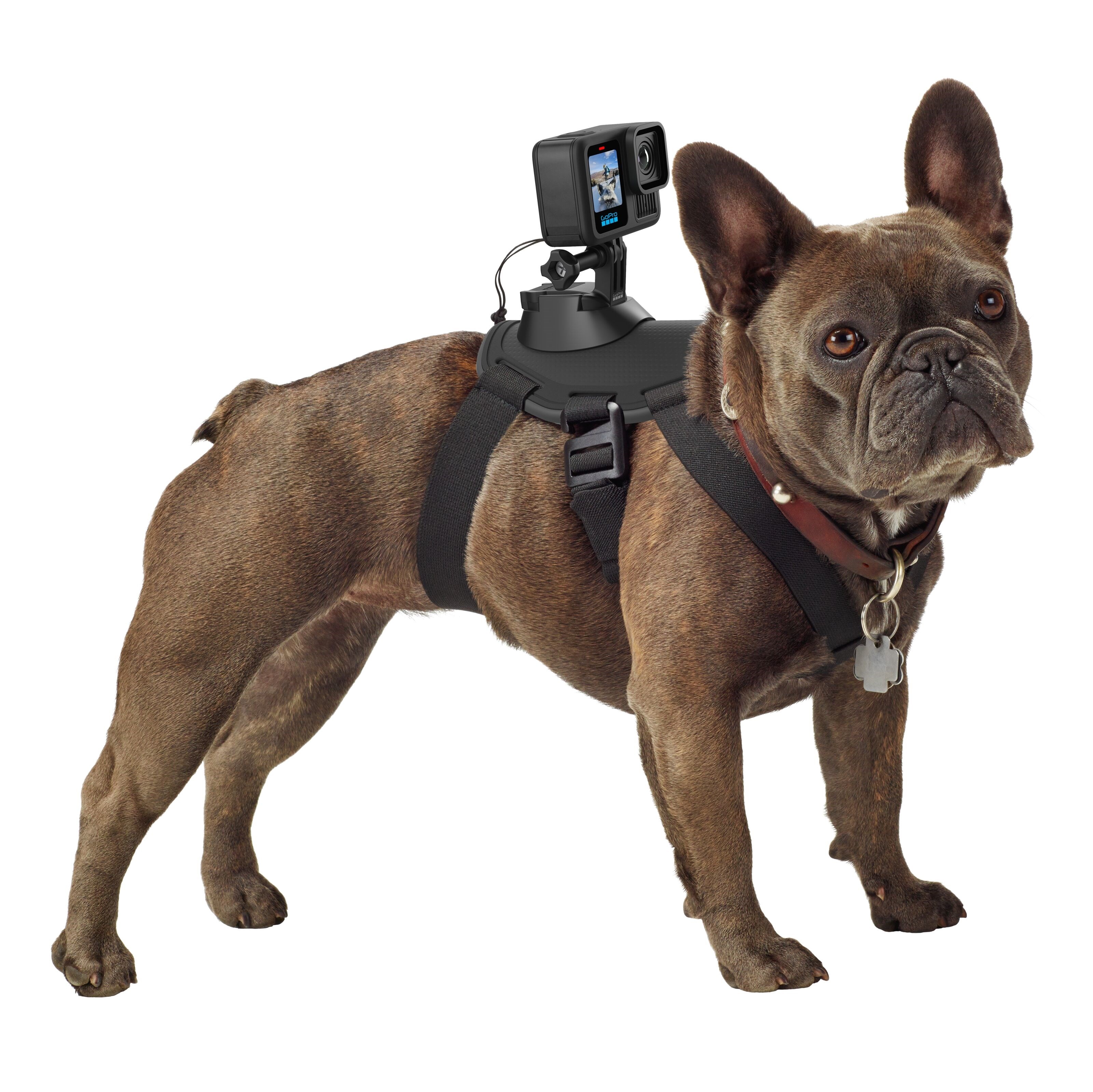 Gopro Hero 13 Black