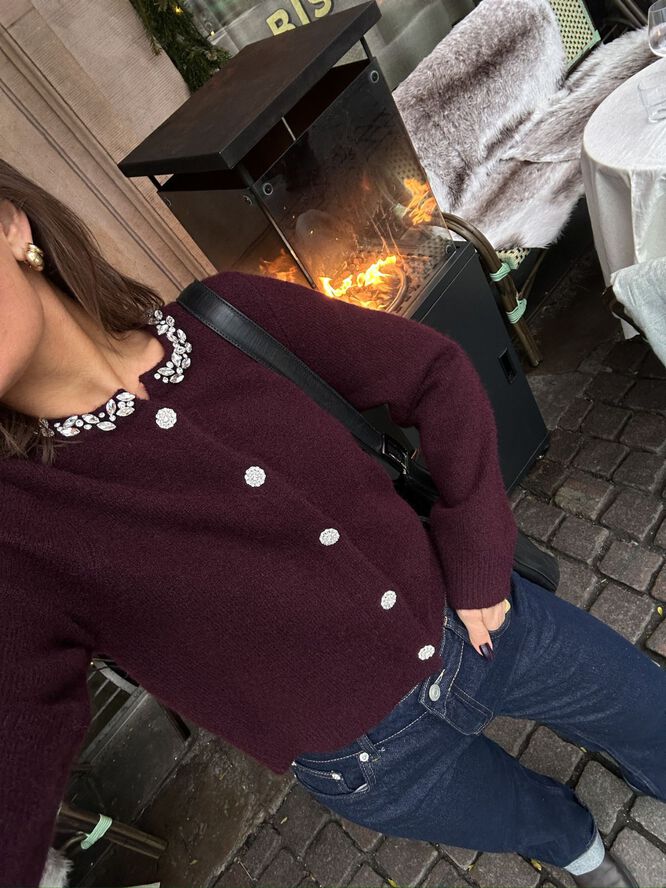 Neo Noir Marie Stone Knit Cardigan Wine