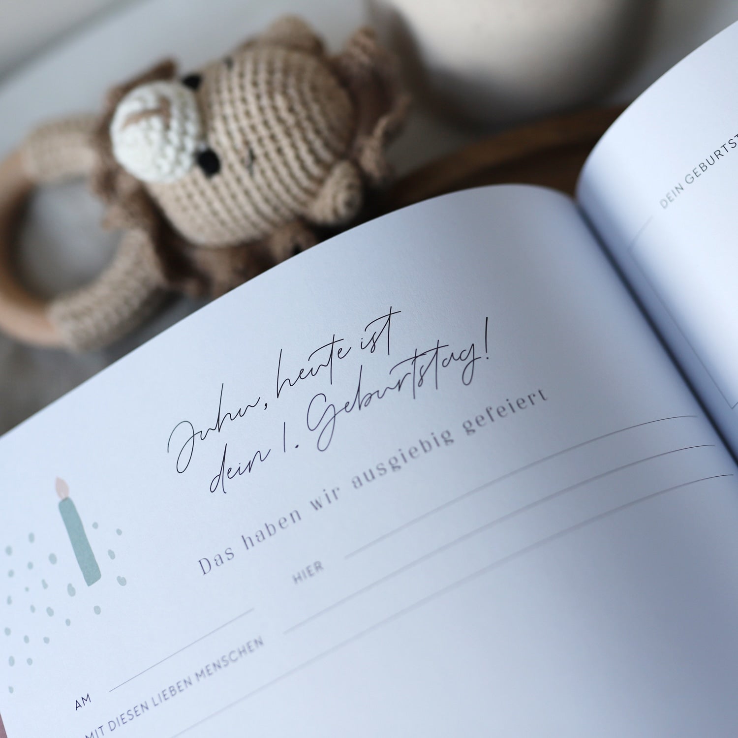 Baby-Tagebuch „Our first year