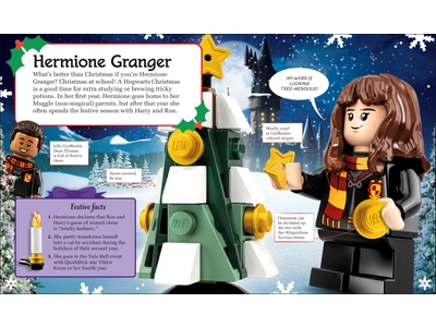 LEGO Hogwarts™ at Christmas (5007214)