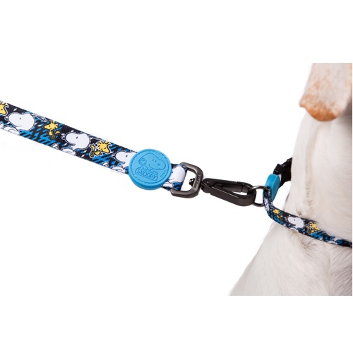 Guia para cães Zooz Pets Xablue em poliéster