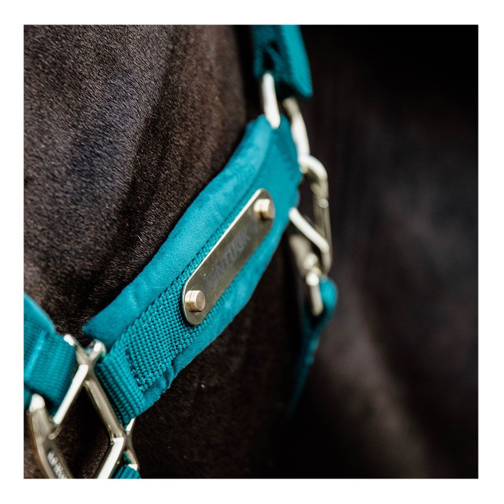 Kentucky VELVET - Licol black