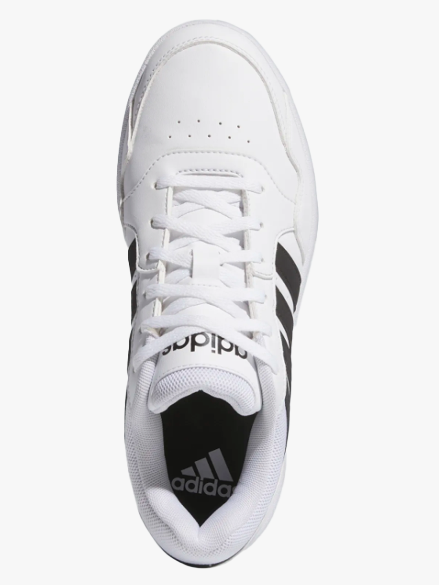 Hoops 3.0 Bold